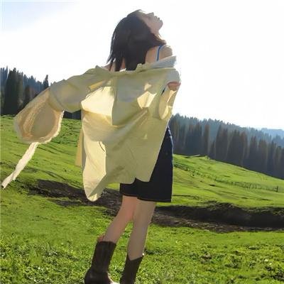 冰冻蜘蛛